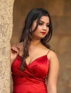 call girl service in Heggadadevankote